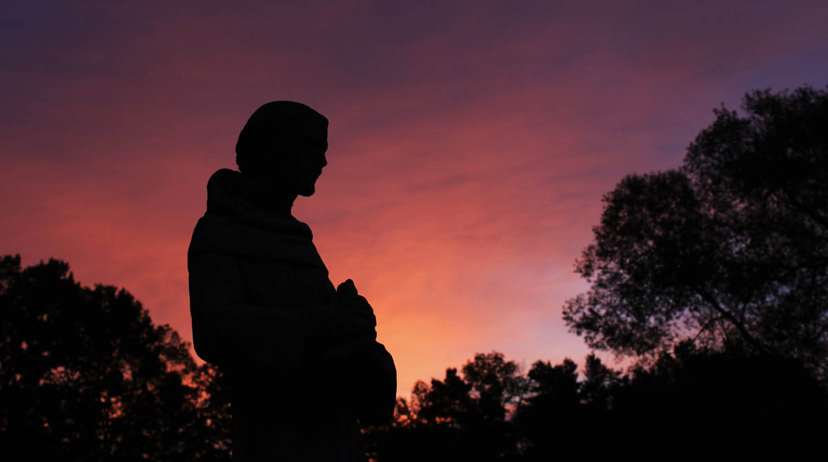 A paz na mística franciscana - Carisma - Franciscanos 