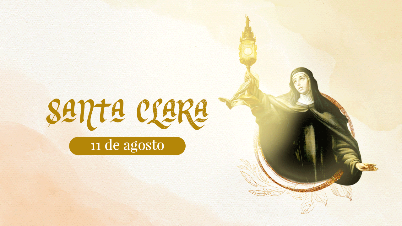 A grande “plantinha” do carisma franciscano - Carisma - Franciscanos  Carisma - Província Franciscana da Imaculada Conceição do Brasil - OFM