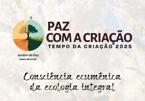 Especial Tempo da Criação