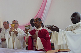 Papa Francisco nomeia vinte novos cardeais