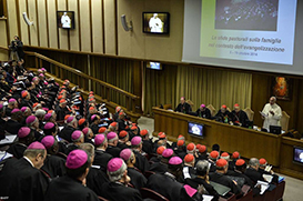 Papa Francisco: "Sínodo não é um parlamento"