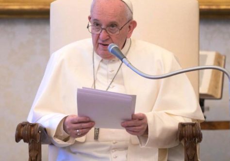 Papa no Dia Mundial da Terra: falhamos em nossa responsabilidade como guardiões da terra