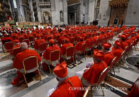 Papa: um cardeal ama a Igreja sempre com o mesmo fogo espiritual, nas questões grandes e pequenas