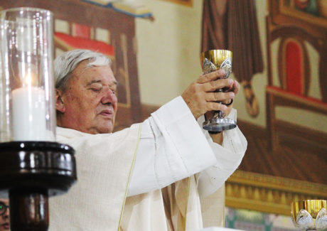 “Mais justiça e paz ao mundo e ao Brasil”, pede Frei Hans na abertura da Novena a Frei Galvão