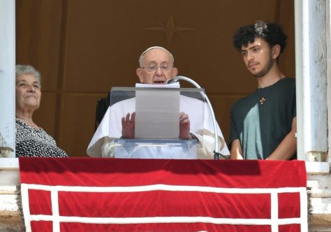 Papa: cultivar os campos da vida sem julgar aquele do vizinho