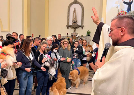 Paróquia da Vila Clementino: “São Francisco, marcado pelo amor! ”