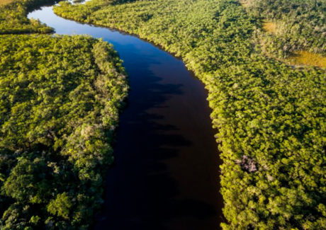 Desafios e esperanças na luta contra o “Suicídio Ecológico”