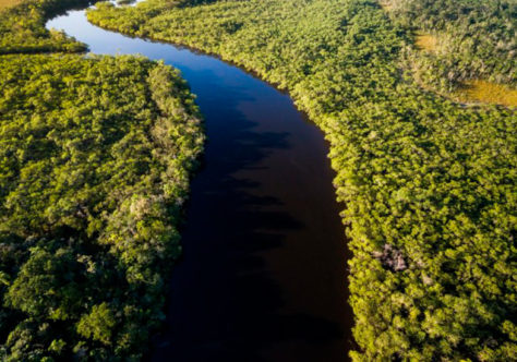 Desafios e esperanças na luta contra o "Suicídio Ecológico"