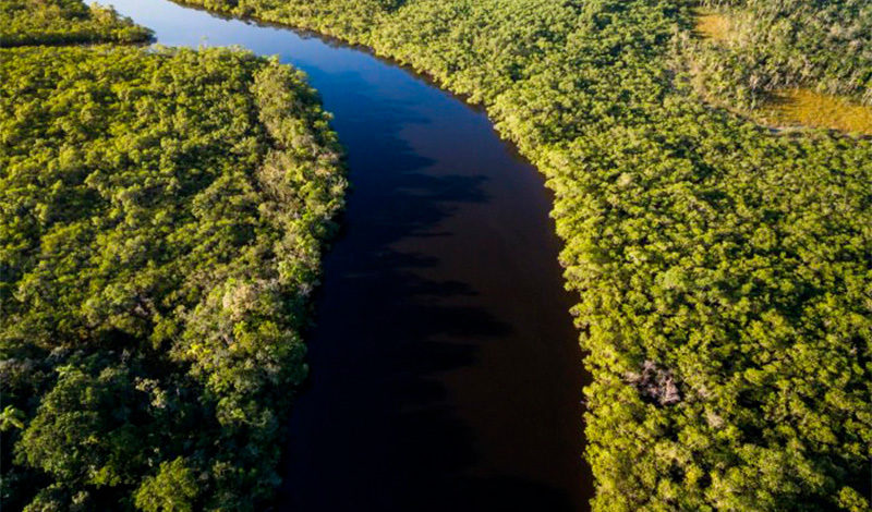 Desafios e esperanças na luta contra o "Suicídio Ecológico"