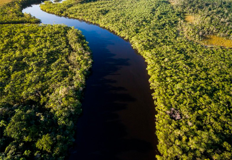 [Desafios e esperanças na luta contra o “Suicídio Ecológico”]