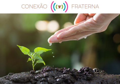 Lançada ação em defesa da Casa Comum com parceria do Conexão Fraterna