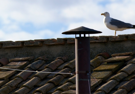 Observando os sinais dos tempos e de uma chaminé