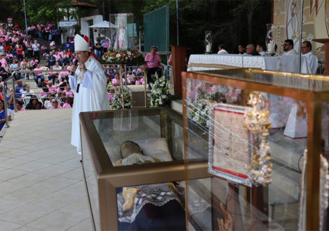 Vicentinos realizam Peregrinação Jubilar ao Convento da Penha