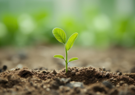 O grito de esperança dos pobres e da criação: Carta do Ministro Geral para o IX Dia Mundial dos Pobres