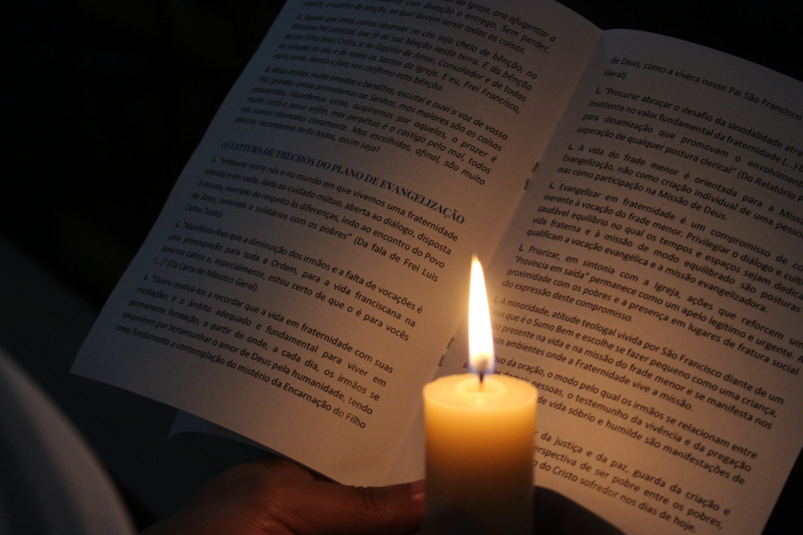 [Oração do Papa Leão XIII a São Francisco]