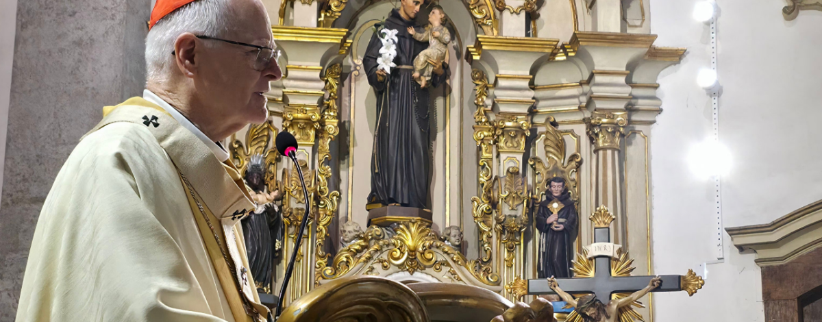 “São Francisco é um dom para toda a Igreja” – Dom Odilo preside Celebração de Abertura do Ano Jubilar Franciscano em São Paulo