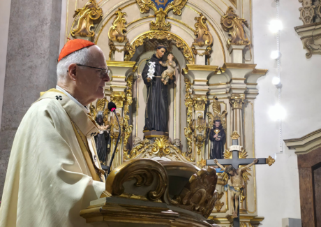 “São Francisco é um dom para toda a Igreja” – Dom Odilo preside Celebração de Abertura do Ano Jubilar Franciscano em São Paulo