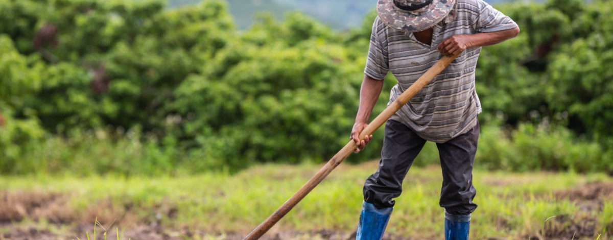 CF 2026: acesso à terra e os desafios estruturais da moradia no Brasil