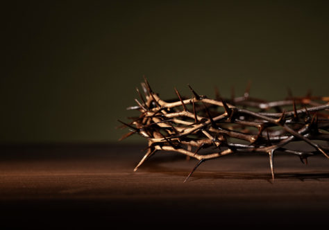 Mensagem do Ministro Provincial para a Páscoa de 2026