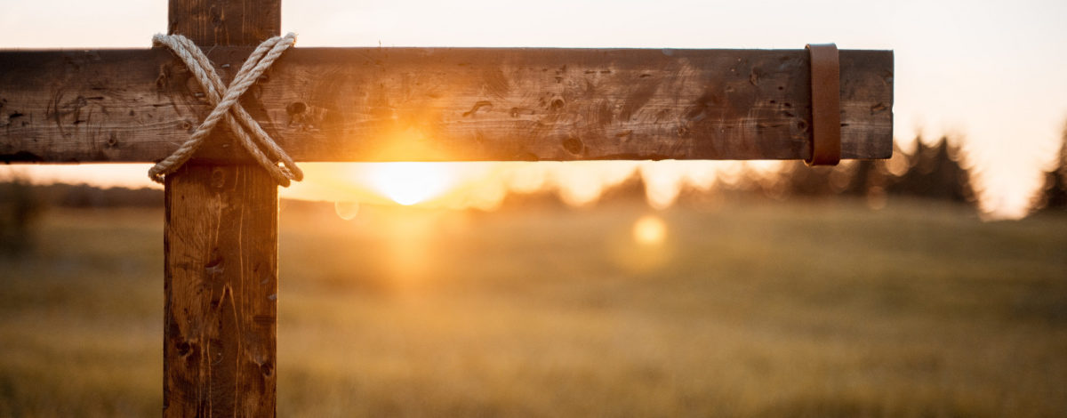 Inspirada em São Francisco, Comissão da OFM divulga mensagem de paz para a Quaresma e o Ramadã