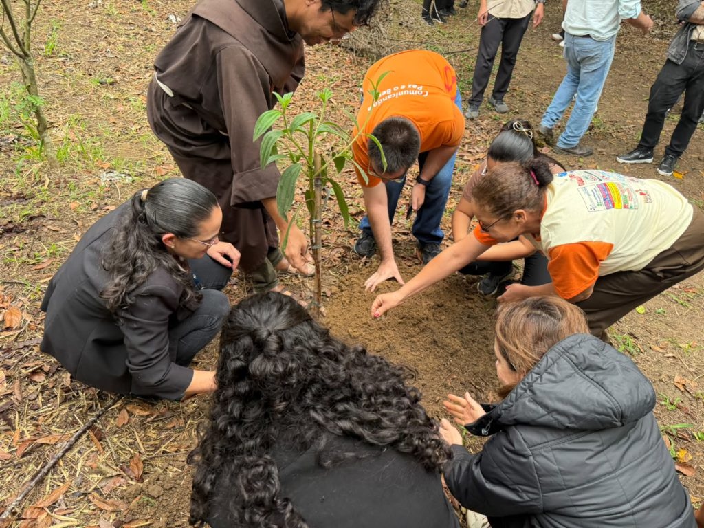 Santuário Frei Galvão planta mudas da Mata Atlântica e une espiritualidade e cuidado com a Casa Comum na preparação para a Festa 2026