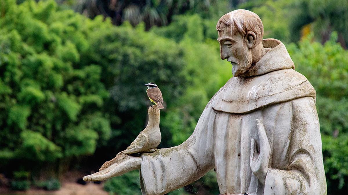 [Francisco antes de “São Francisco”]
