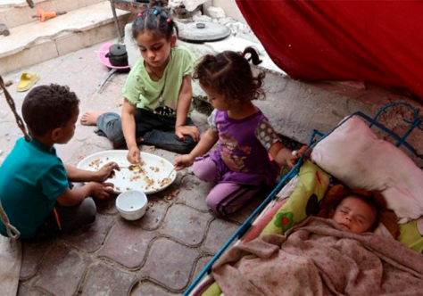 Frei Ibrahim Faltas: as crianças e os bebês de Gaza não são o inimigo