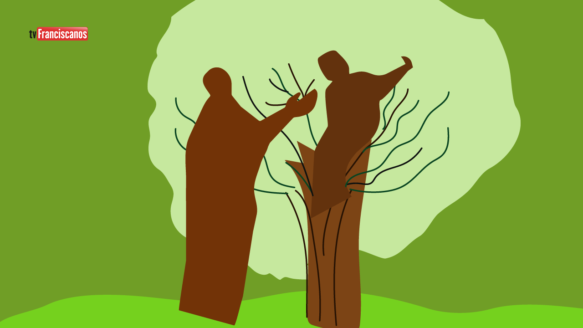 31º Domingo do Tempo Comum | Caminhos do Evangelho