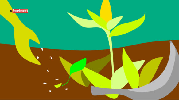 Caminhos do Evangelho | 11º Domingo do Tempo Comum