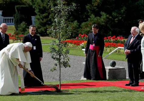 Papa Francisco, promotor da consciência ecológica?