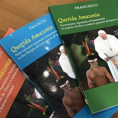 “Querida Amazônia”: uma inculturação truncada