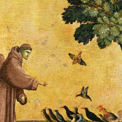 Uma leitura de cego da encíclica ecológica Laudato Si’