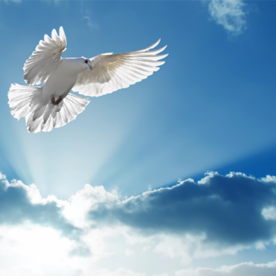 Pentecostes: vem Espírito de vida e salva-nos!