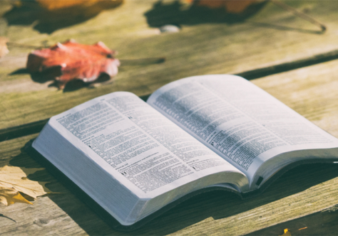 Sete pontos e dois movimentos para interpretar a Bíblia