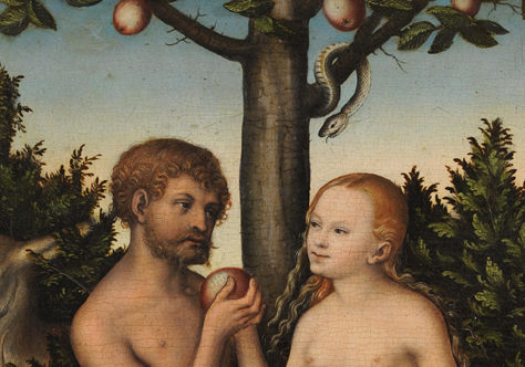 A serpente não oferece uma maçã para a mulher que, com medo da nudez, foi considerada um macho defeituoso (Gn 3,1-7)