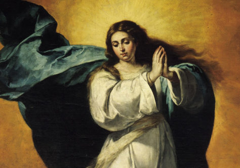 Celebrar a Imaculada Conceição para acolher o Salvador