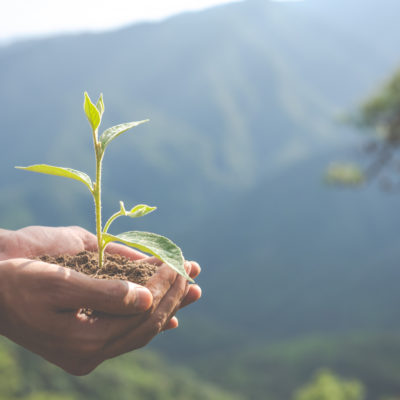 Nove anos após a sua publicação, existe agora um antes e um depois da ‘Laudato si’