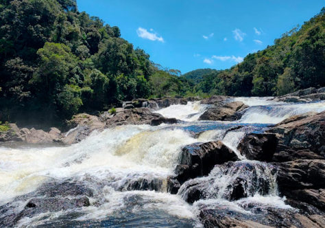 Ouça o grito da Terra