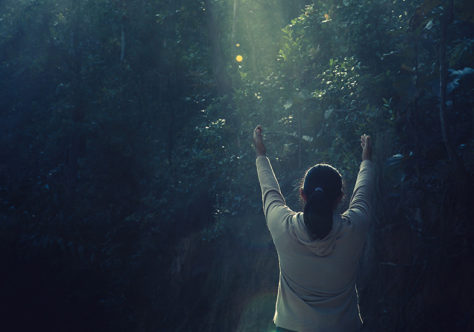 Mensagem do Papa Leão XIV para o X Dia Mundial de Oração pelo Cuidado da Criação