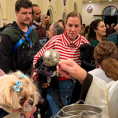 Paróquia da Vila Clementino: “São Francisco, marcado pelo amor! ”