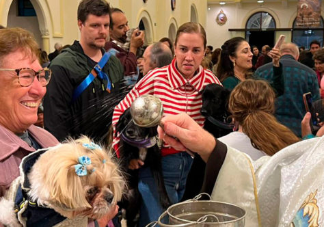 Paróquia da Vila Clementino: “São Francisco, marcado pelo amor! ”