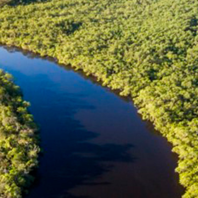 Desafios e esperanças na luta contra o “Suicídio Ecológico”