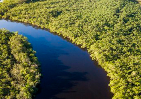 Desafios e esperanças na luta contra o “Suicídio Ecológico”