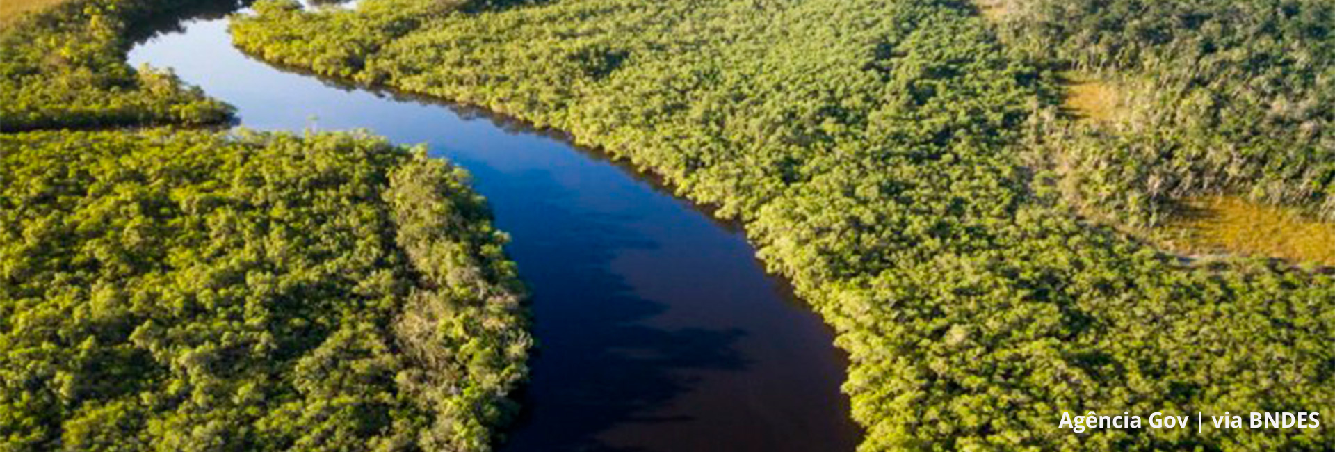 Desafios e esperanças na luta contra o “Suicídio Ecológico”