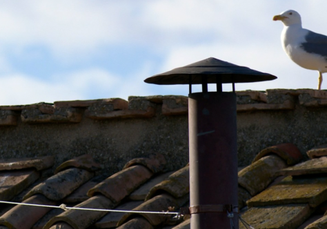 Observando os sinais dos tempos e de uma chaminé