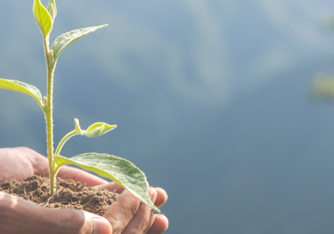 Carta-Manifesto da Província alerta sobre riscos de Projeto que modifica legislação ambiental brasileira