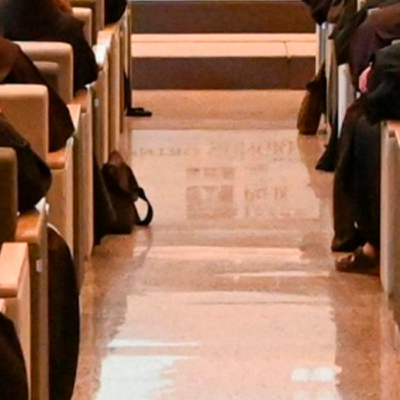 Capítulo Internacional das Esteiras e Conselho Plenário: caminhos de esperança para o futuro da Ordem