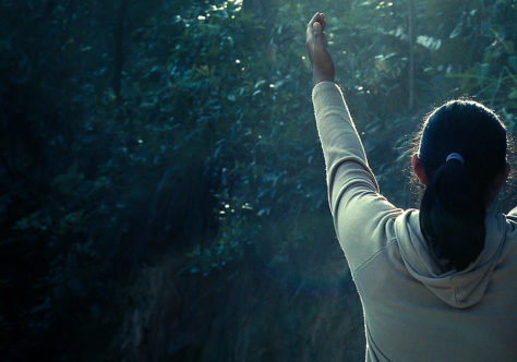 Sementes de Paz e Esperança: X Dia Mundial de Oração pelo Cuidado da Criação