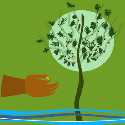 27º Domingo do Tempo Comum