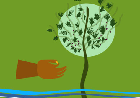 27º Domingo do Tempo Comum